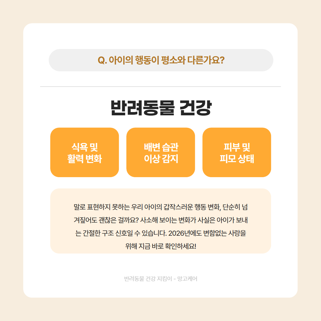 AI 카드뉴스 예시 18