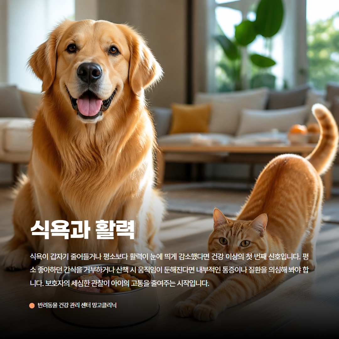 AI 카드뉴스 예시 19