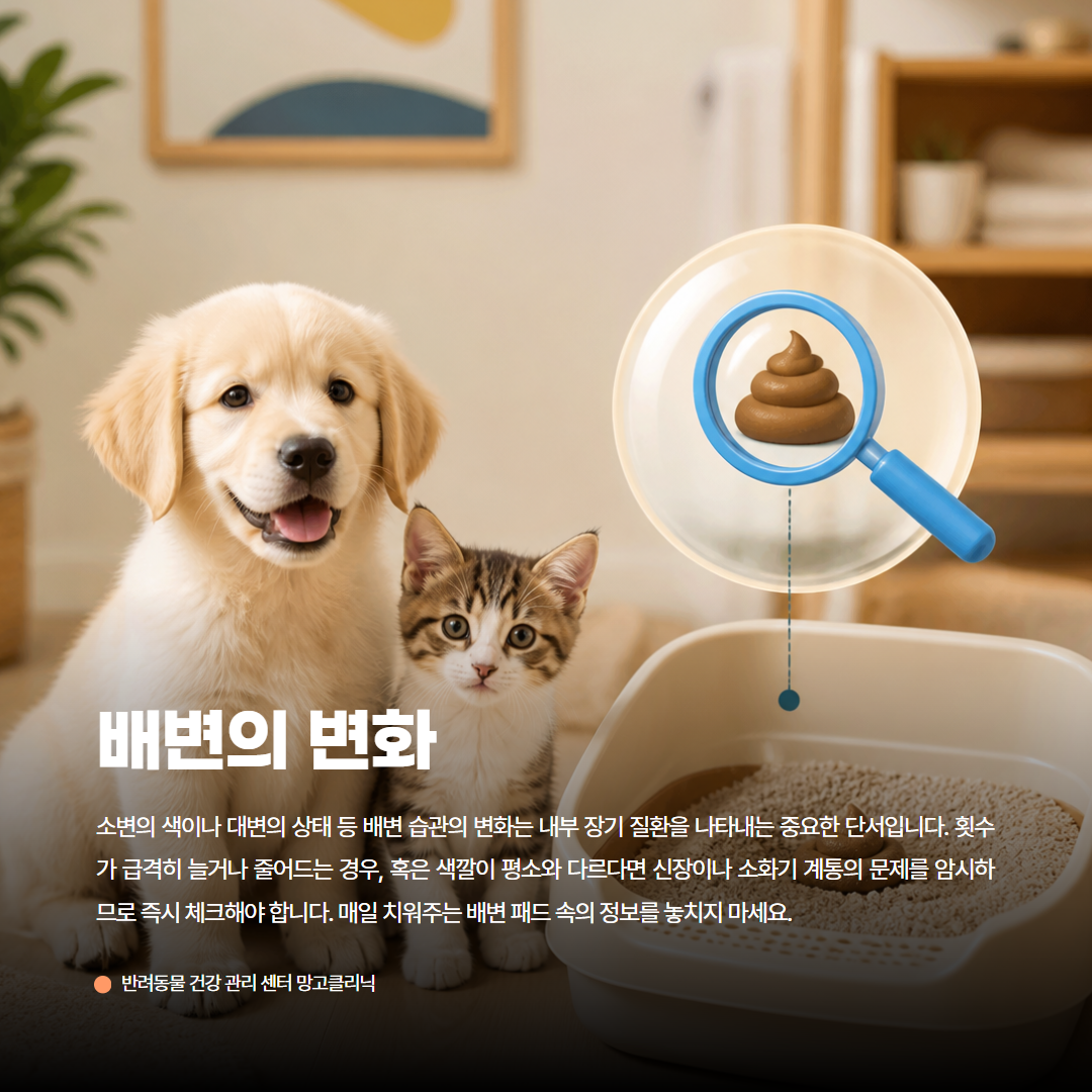 AI 카드뉴스 예시 20