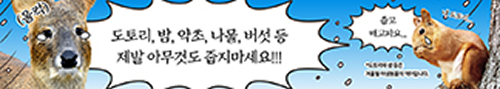 현수막 템플릿 1개 예시