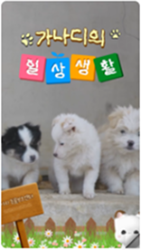 9:16 세로형 템플릿 1개 예시
