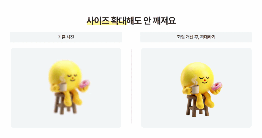 크게 확대해도 선명함이 유지되는 모습