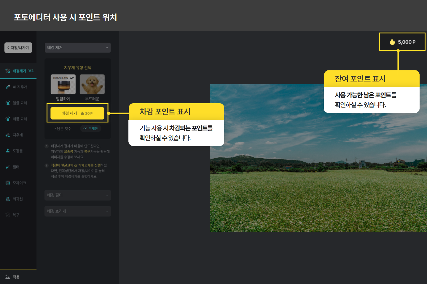 AI 기능별 차감 포인트와 남은 포인트 확인 두 번째 화면